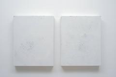 Diffuse (diptych) 8