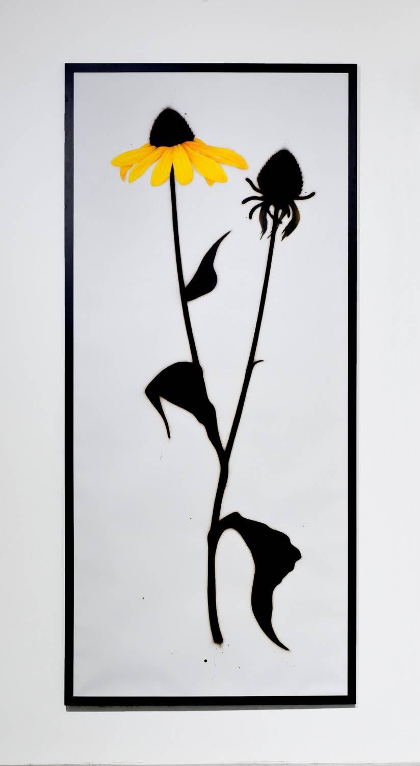 Cone Flowers - Art by Brian Borrello