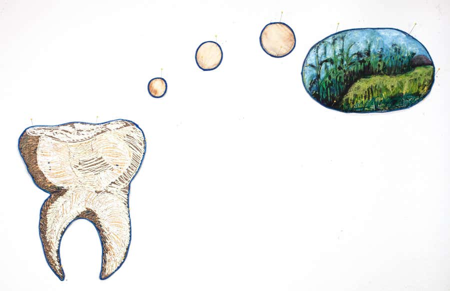 Sentimental Tooth: Cornfield