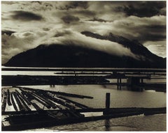 Logging Yard (Vancouver Island)