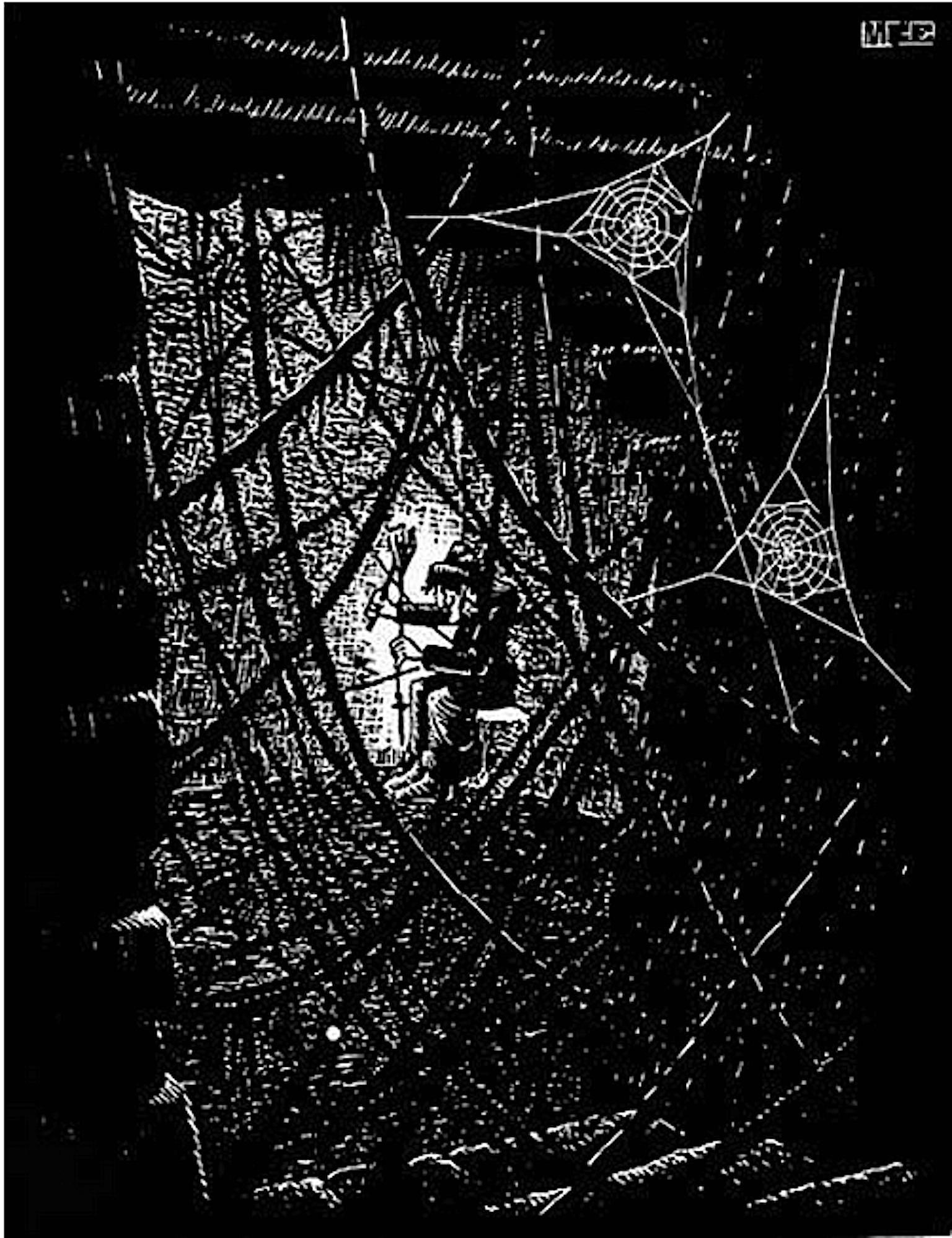 M.C. Escher Interior Print - Cobwebs