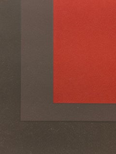 Homage to the Square : HG442:a