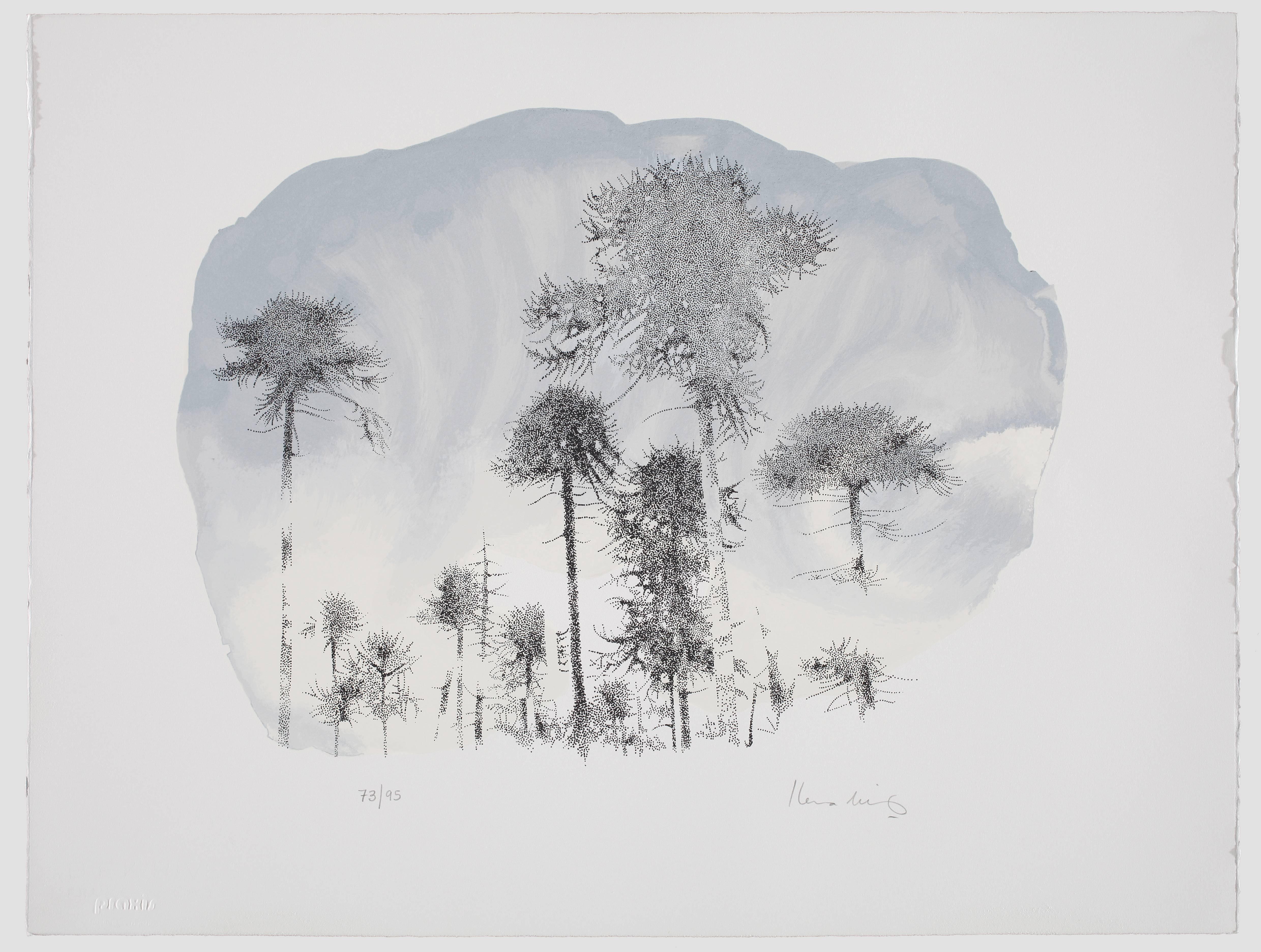 Elena Nieves Landscape Print - Bosque de araucarias