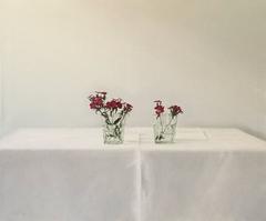 Algunas flores (primavera) 2