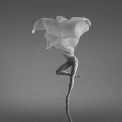"Lotus" Ballet Photography 47" x 47" in Edition of 18 by Yevgeniy Repiashenko
