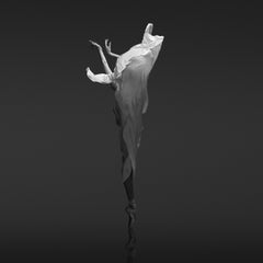 No title (No 77) Ballet Photograph 36x36 in Ed. of 28 by Yevgeniy Repiashenko