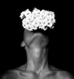 "Human Nature Pt. 2" Photograph 30" x 24" in Limited Ed. 2/7 by Brendan North