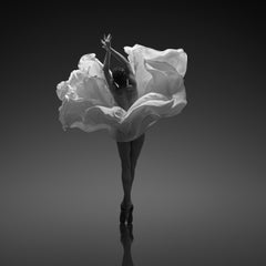 "Savor" Black & White Photograph 60" x 60" in Ed. of 8 by Yevgeniy Repiashenko