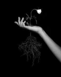 "Human Nature Pt. 1" Black & White Photography 30x24 in Ed 2/7 by Brendan North