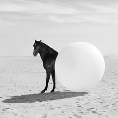 "Round Horse" Black & White Photograph 16" x 16" in Ed. of 24 by Olha Stepanian