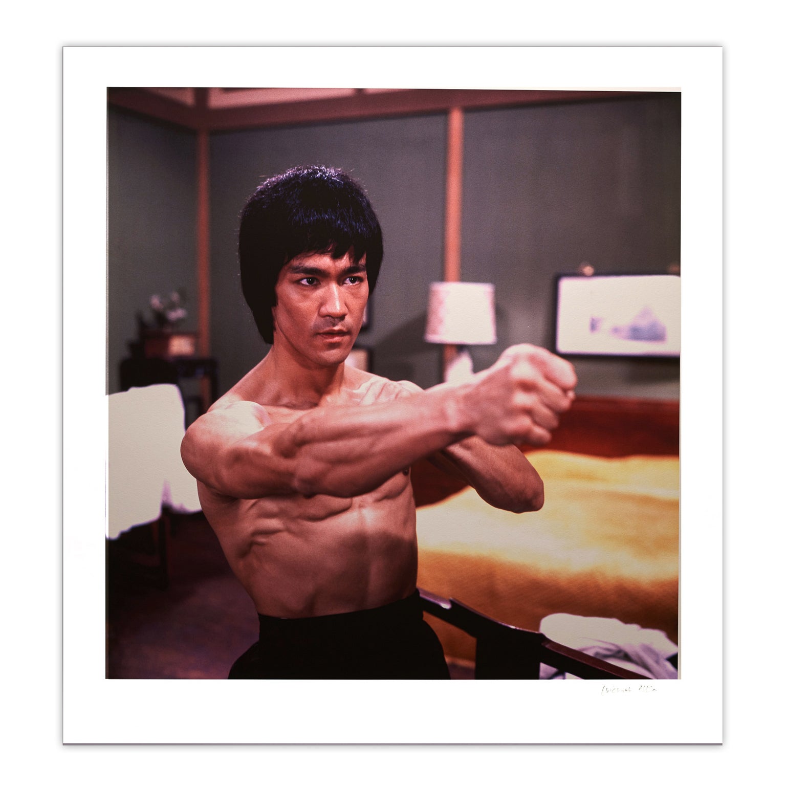 Bruce Lee Enter The Dragon Dragon Fist Limited Edition Colour Pop Art