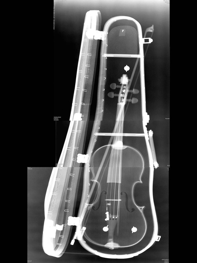 Steve Miller Violin For Sale at 1stDibs