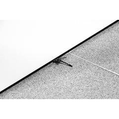 Dragonfly at Omotesando Chanel Boutique 7