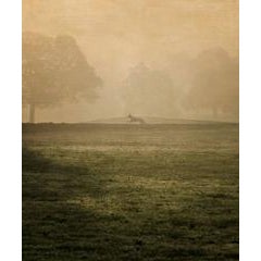 Great Dane Silhouette 1