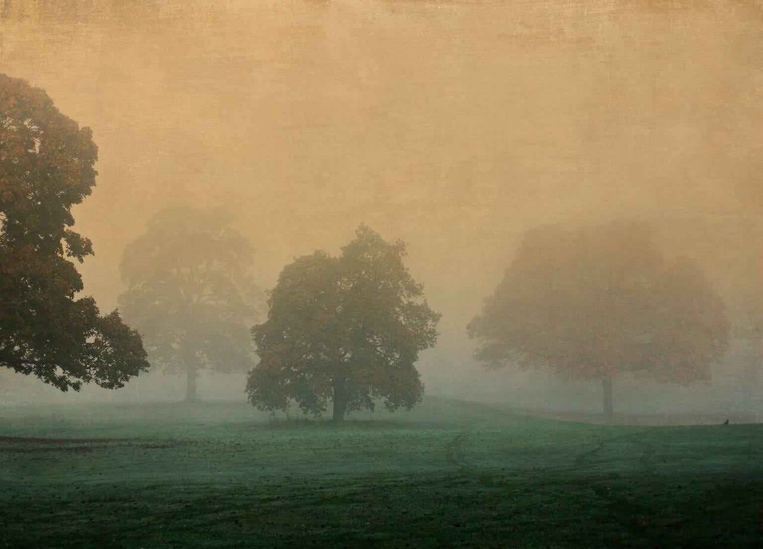 Pete Kelly Landscape Photograph - Brabyns Mist, Cheshire, England, 2015