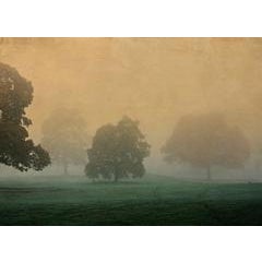 Brabyns Mist 11