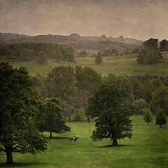 Chatsworth Lone Rider 3