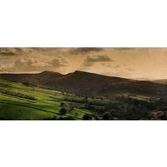 Hayfield 4