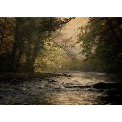 Brabyns Autumn 10
