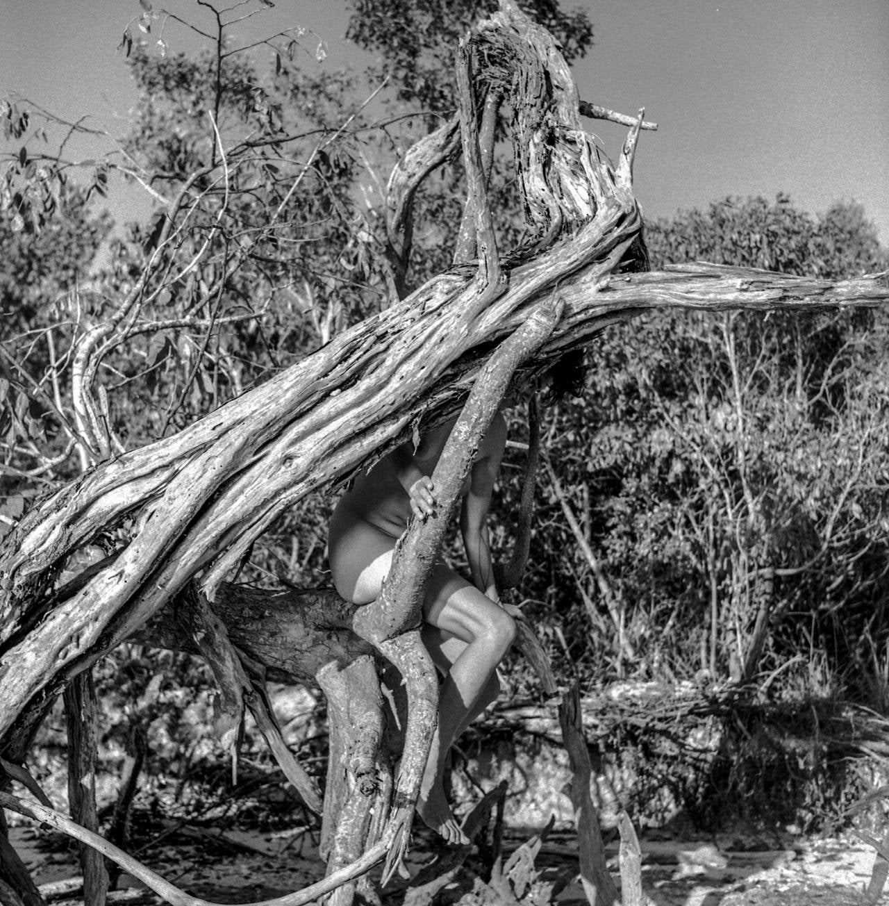 Black and White Photograph Gesi Schilling - Clé indienne, clé de pique-nique, Everglades National Park, FL