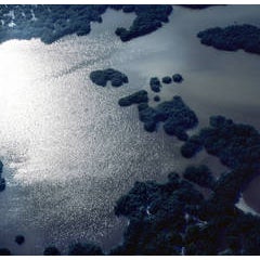Ten Thousand Islands, Ten Thousand Islands, Everglades National Park, FL 4