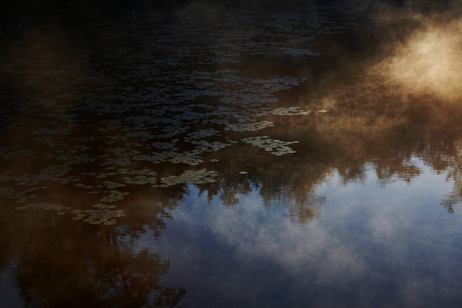 Golden Light, Adirondacks, NY