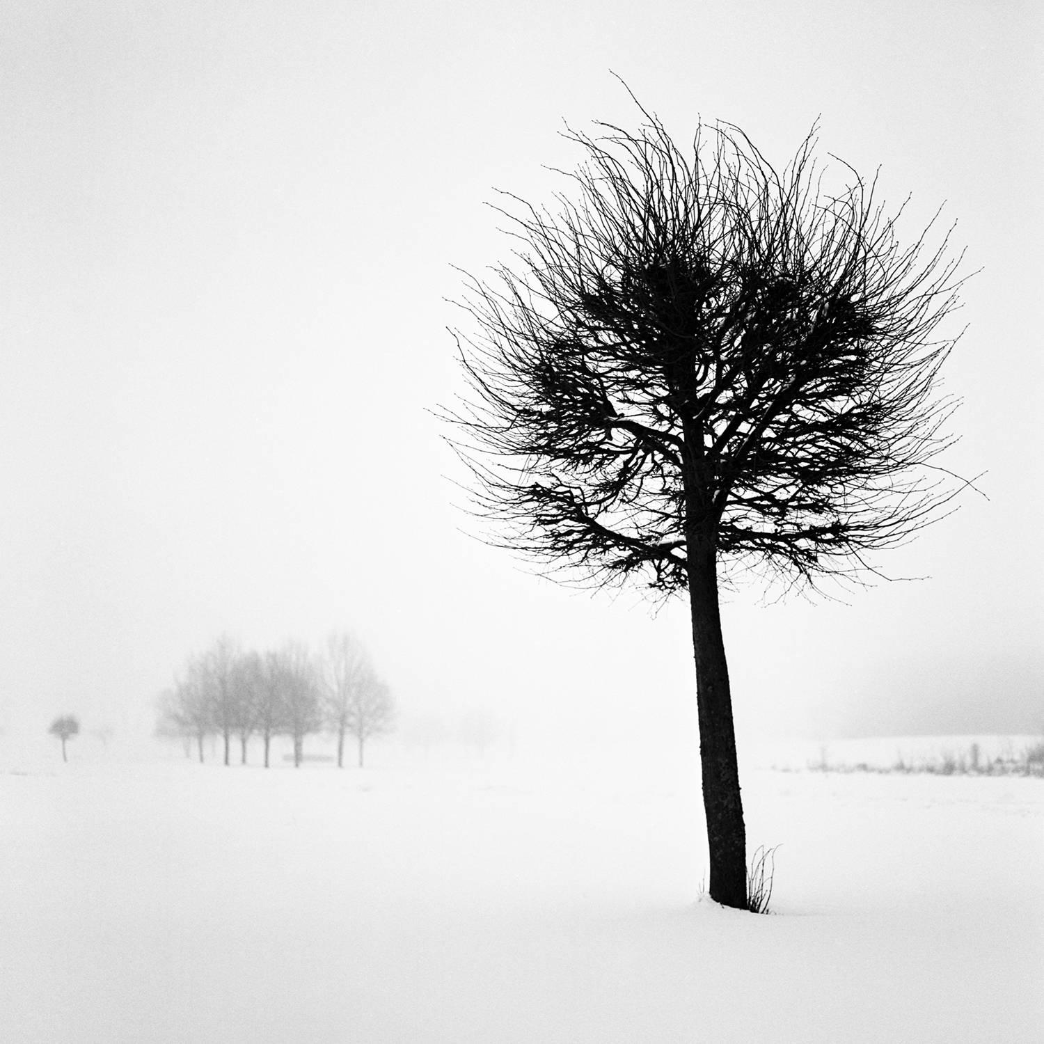 Mindaugas Gabrenas Black and White Photograph - Winter Fashion Trends