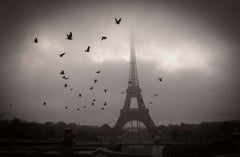 Paris Dawn