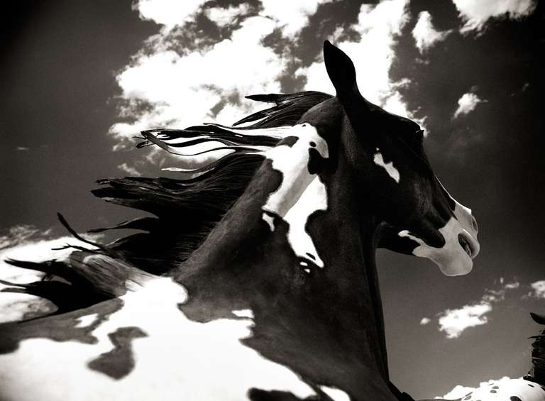 Benjamin Heller Black and White Photograph – Wolkenpferd