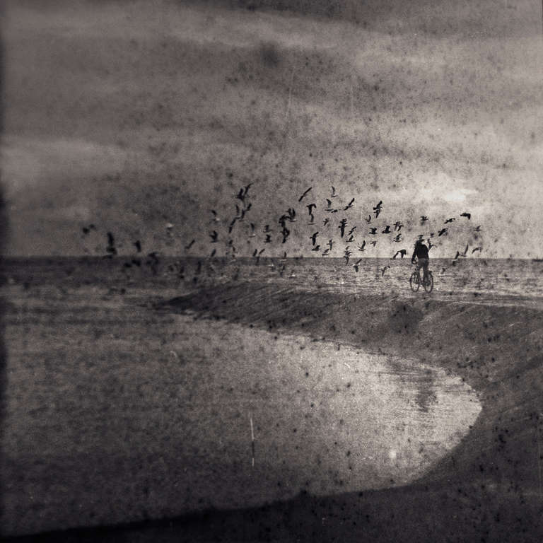 Mindaugas Gabrenas Black and White Photograph - Birdy