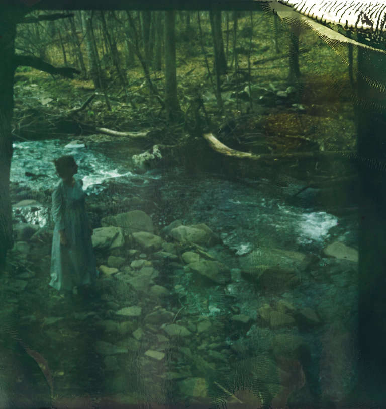 Patricia Heal Figurative Photograph – „Into the Woods“-Holz