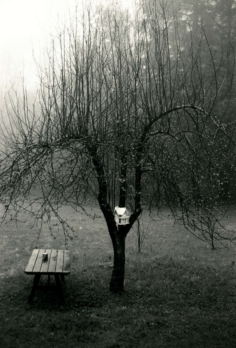 Pique-nique d'hiver - Photograph de Patricia Heal