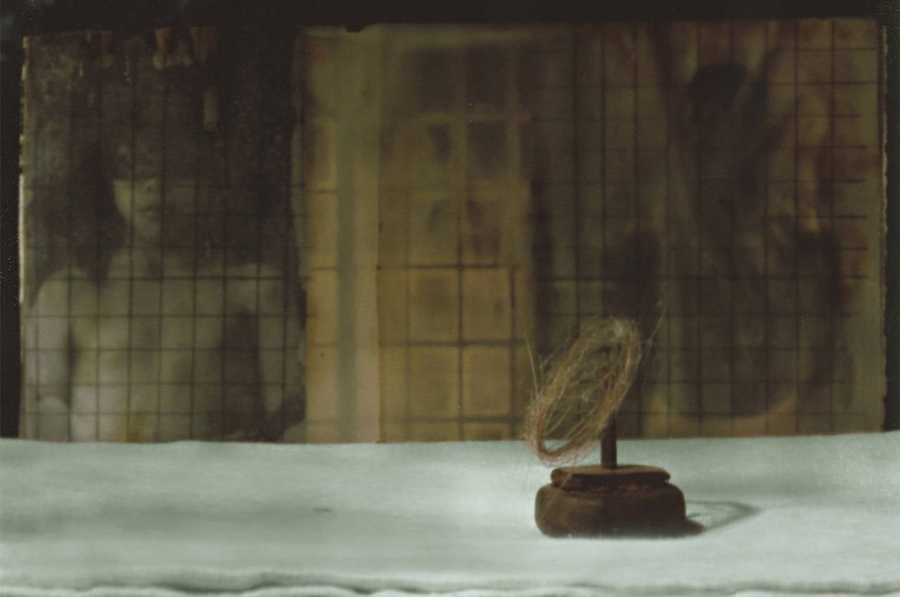 Still-Life Photograph de Tina West - Cometer Errores de Apreciación