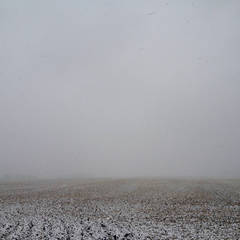 Marshalltown, IA 11