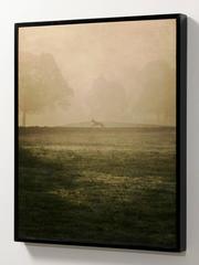 Silueta de gran danés, Cheshire, Inglaterra, 2015