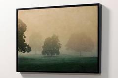 Brabyns Mist, Cheshire, England, 2015