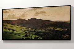 Hayfield