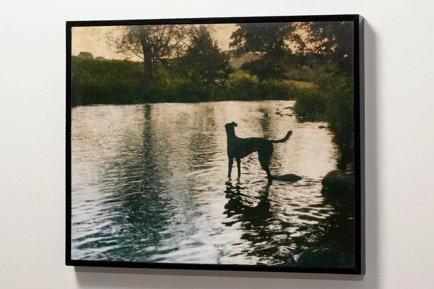 Luther - Marple Cheshire, Angleterre - Photograph de Pete Kelly