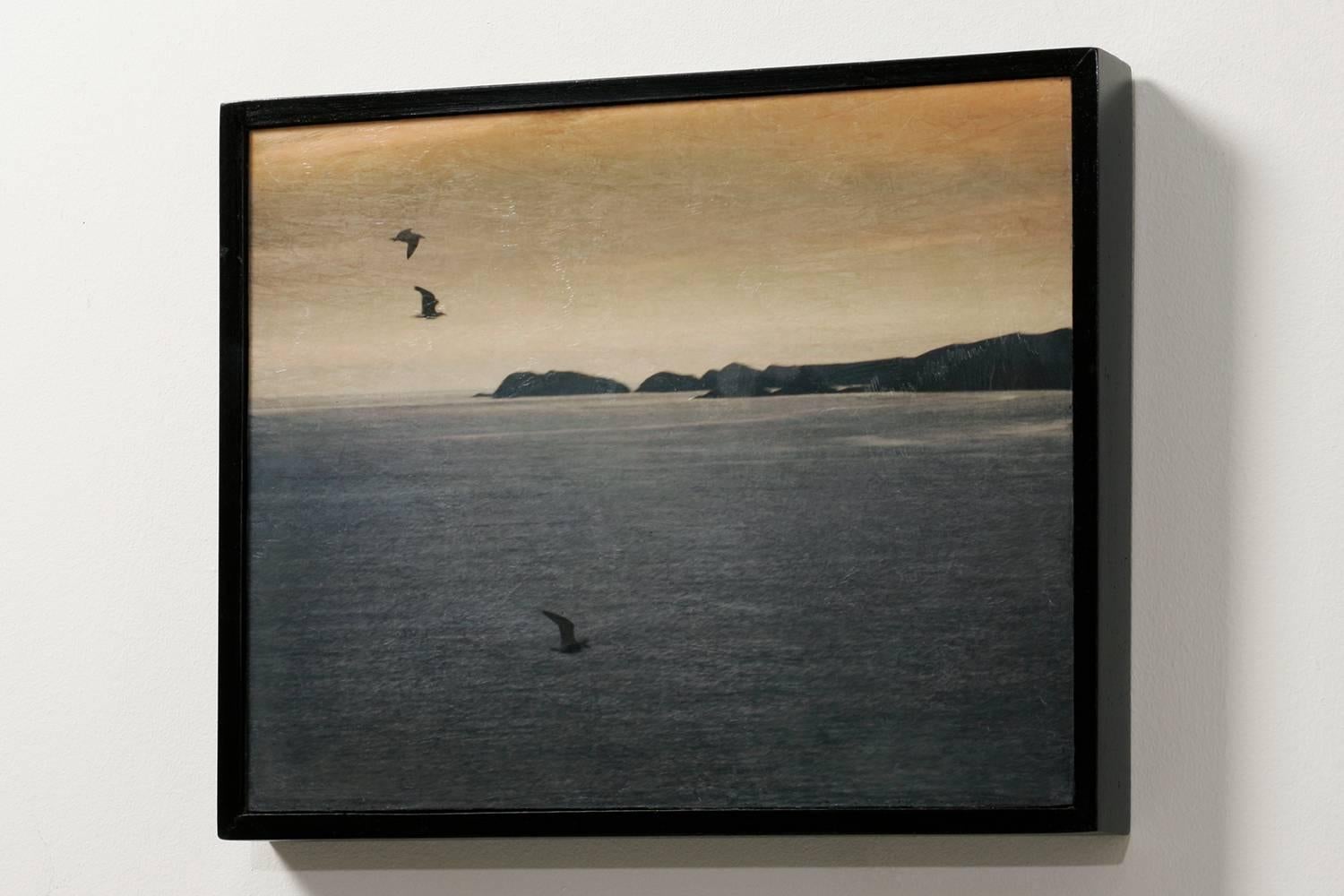 Seagulls aus Pembrokeshire – Photograph von Pete Kelly