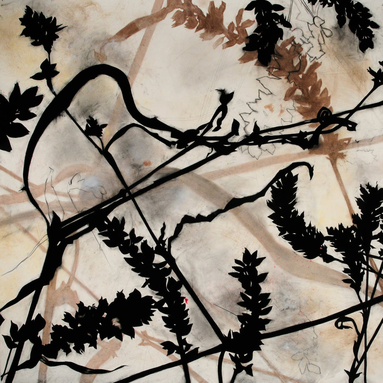 Suzi Davidoff Landscape Art - Madera Canyon Cycle - Caimancillo, 10/2014