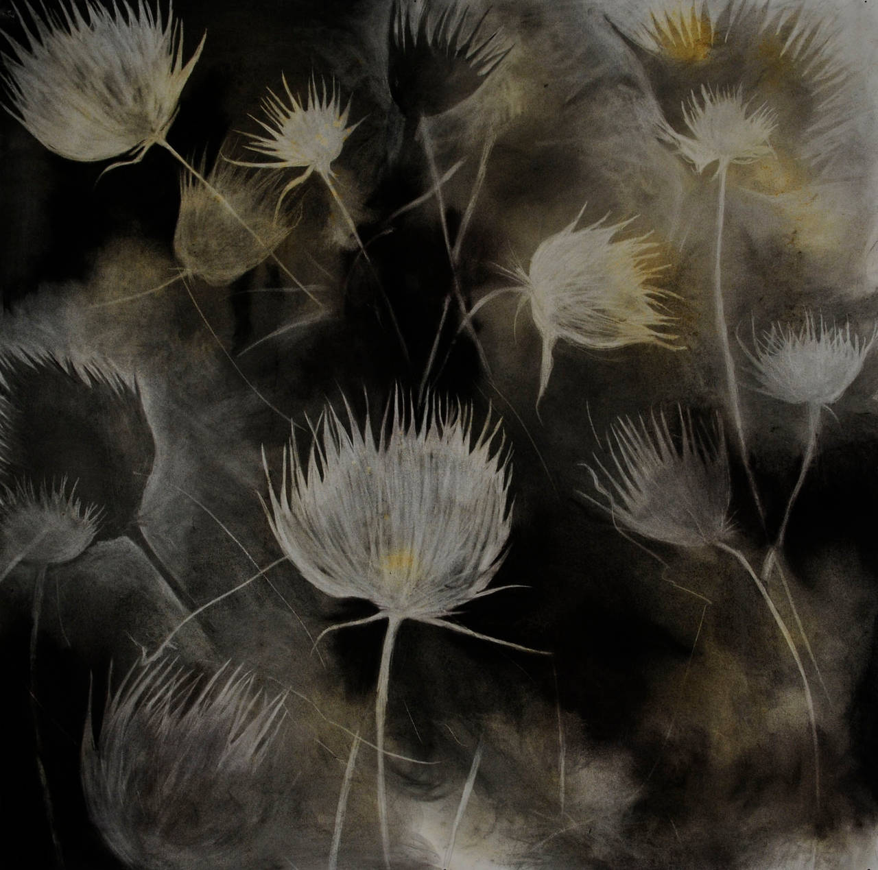 Suzi Davidoff Figurative Art - Madera Canyon Cycle - Winter Thistles