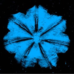Power Flower N - 4 (Turquoise on Black)