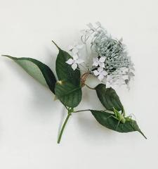 White Hydrangea with Green Grasshopper