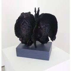 Untitled (#15) 8