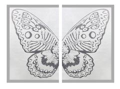 Hybrid Silver Butterfly II on White