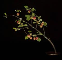 Crabapple Branch with Hastata