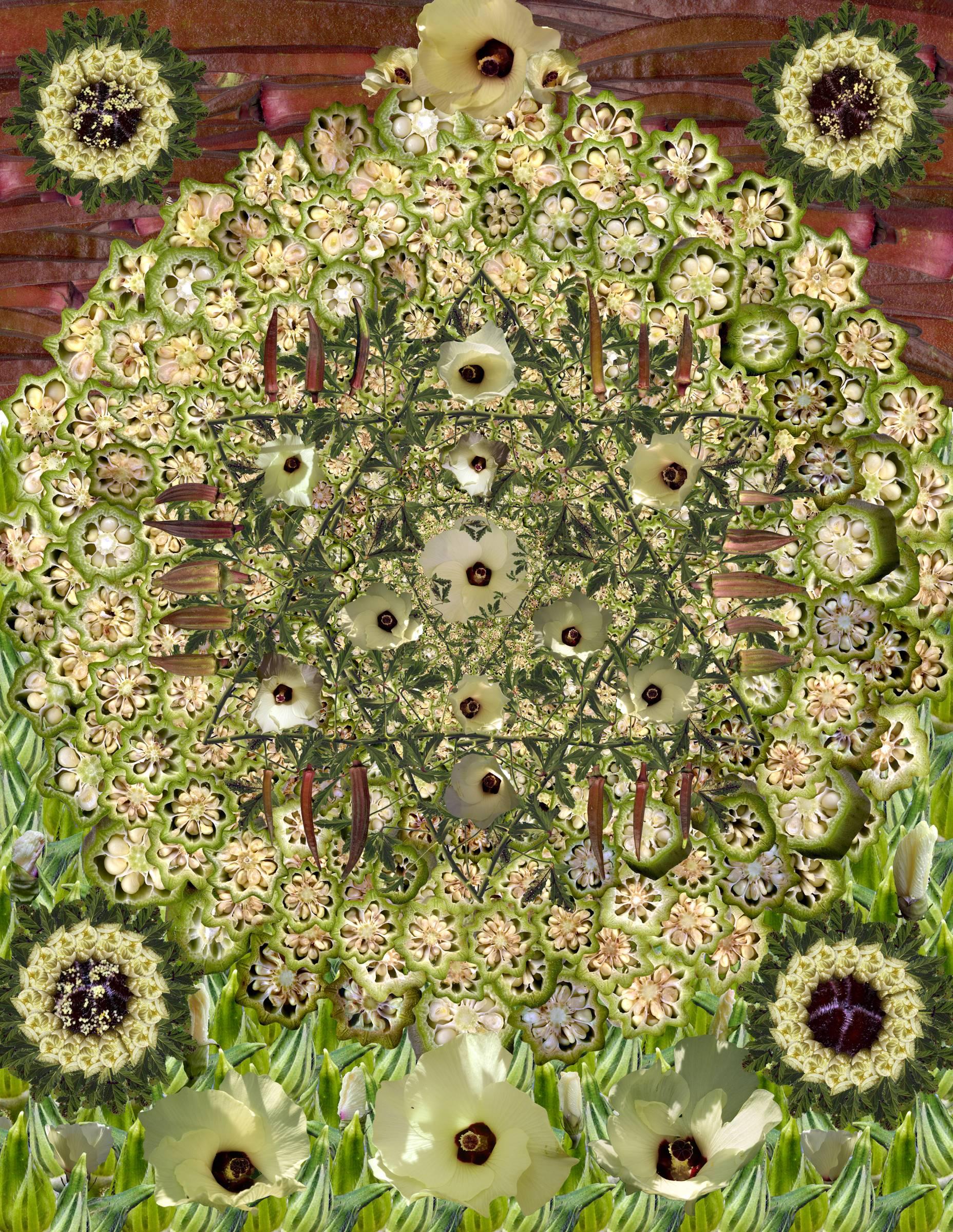 Muffin Bernstein Color Photograph - Okra Mandala
