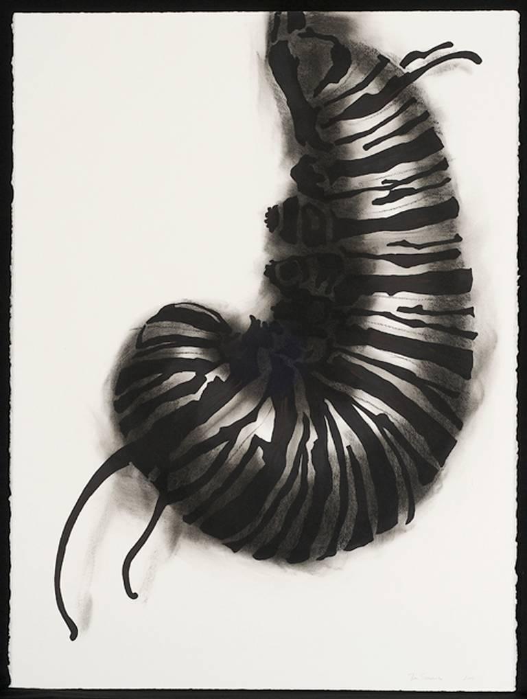 Untitled (caterpillar) from the series Wonderland - Art by Tom Strider