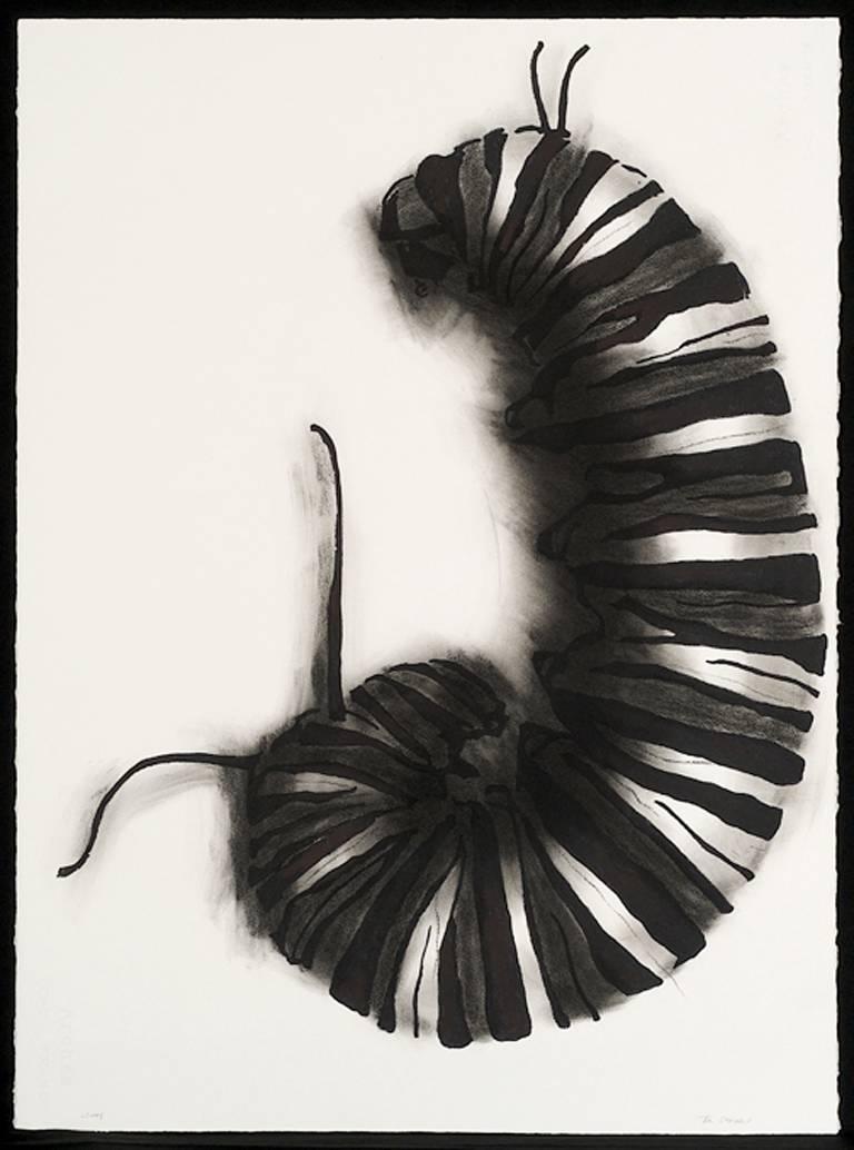 Untitled (caterpillar) from the series Wonderland