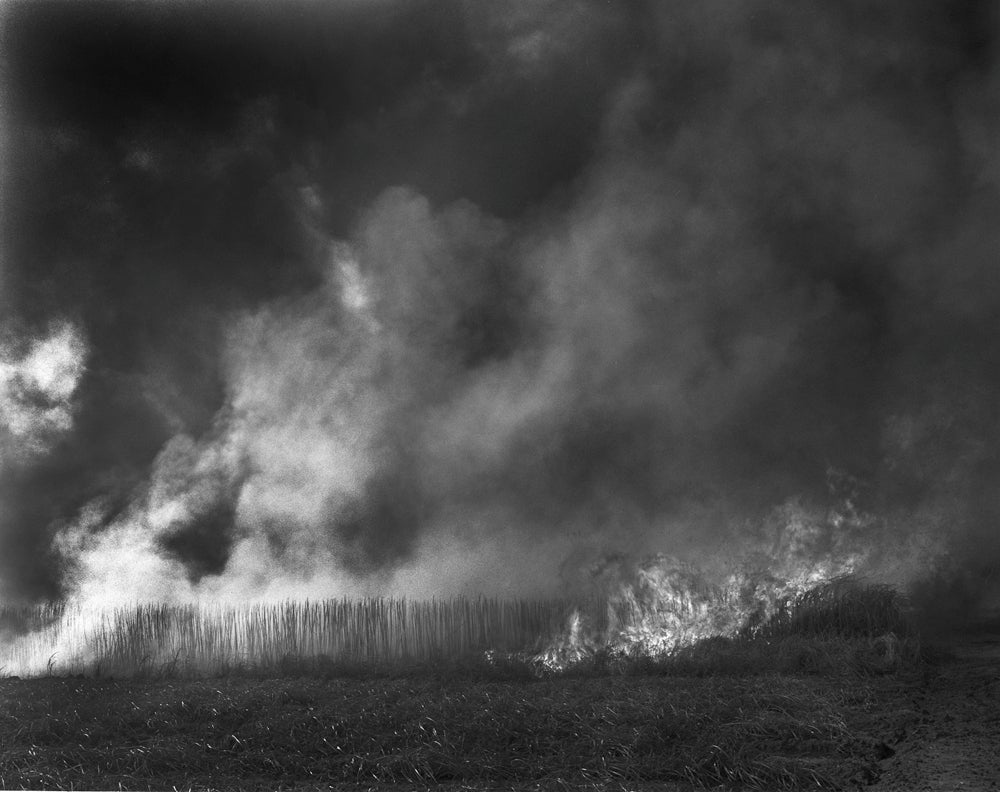 Debbie Fleming Caffery Black and White Photograph - Burning Cane #6